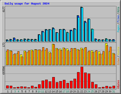 Daily usage for August 2024