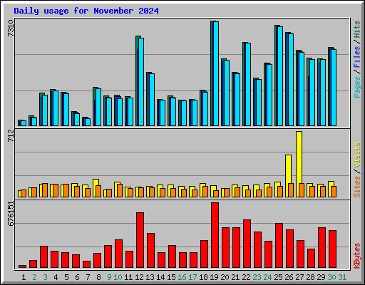 Daily usage for November 2024