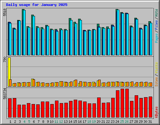 Daily usage for January 2025