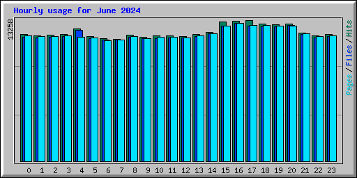 Hourly usage for June 2024