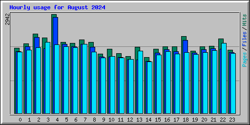 Hourly usage for August 2024