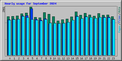 Hourly usage for September 2024