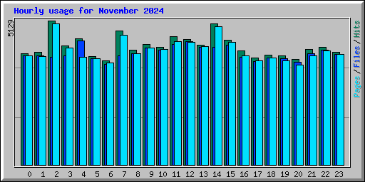 Hourly usage for November 2024