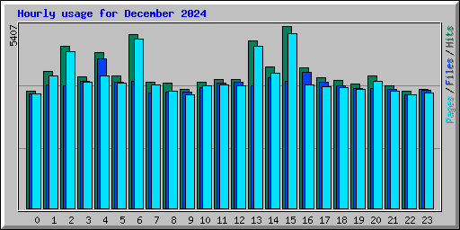 Hourly usage for December 2024