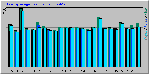 Hourly usage for January 2025