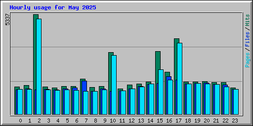 Hourly usage for May 2025