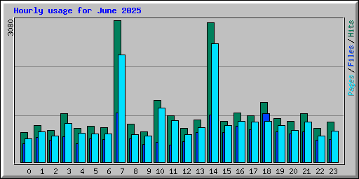 Hourly usage for June 2025
