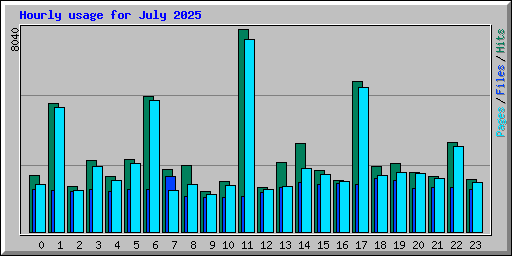 Hourly usage for July 2025