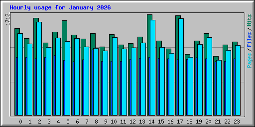 Hourly usage for January 2026