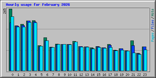 Hourly usage for February 2026